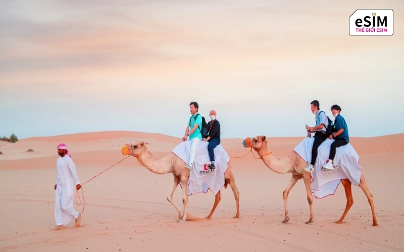 Hành trình kỳ vĩ xuyên 17 quốc gia Trung Đông từ kỳ quan cổ đại đến đô thị tương lai.